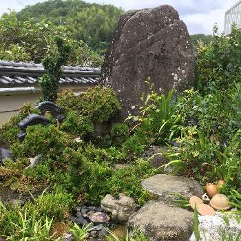 努力の賜物の投稿画像一覧 Greensnap グリーンスナップ