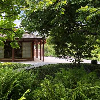 素敵な庭園の投稿画像一覧 Greensnap グリーンスナップ