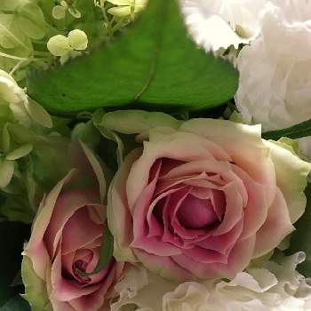 両親の画像 by かもめさん | 金婚式のお祝いと薔薇。とお祝いのお花と両親と花束