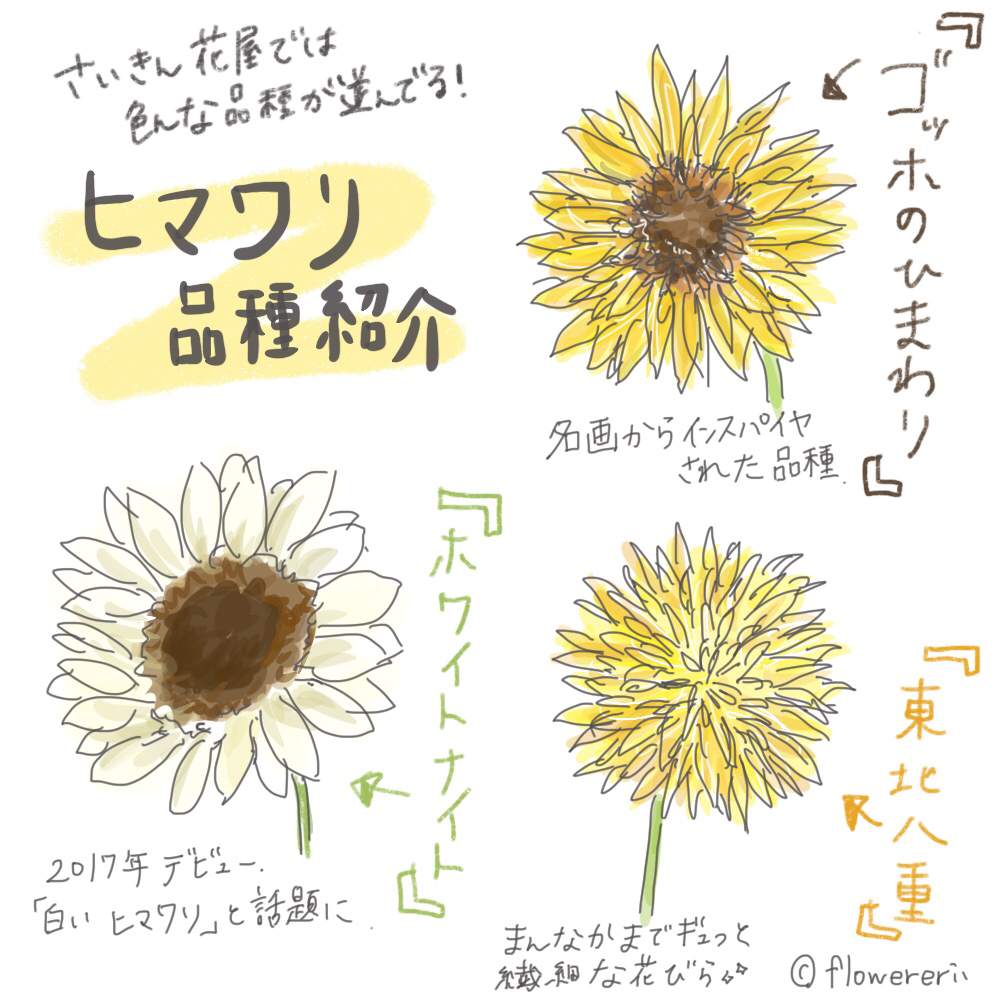 ヒマワリの投稿画像 By エリさん ミニひまわりとひまわりと部屋とイラストと花屋とヒマワリ と花のある暮らしとお花屋さんとイラストと花屋とヒマワリ と花のある暮らしとお花屋さん 19月7月日 Greensnap グリーンスナップ Greensnap グリーンスナップ