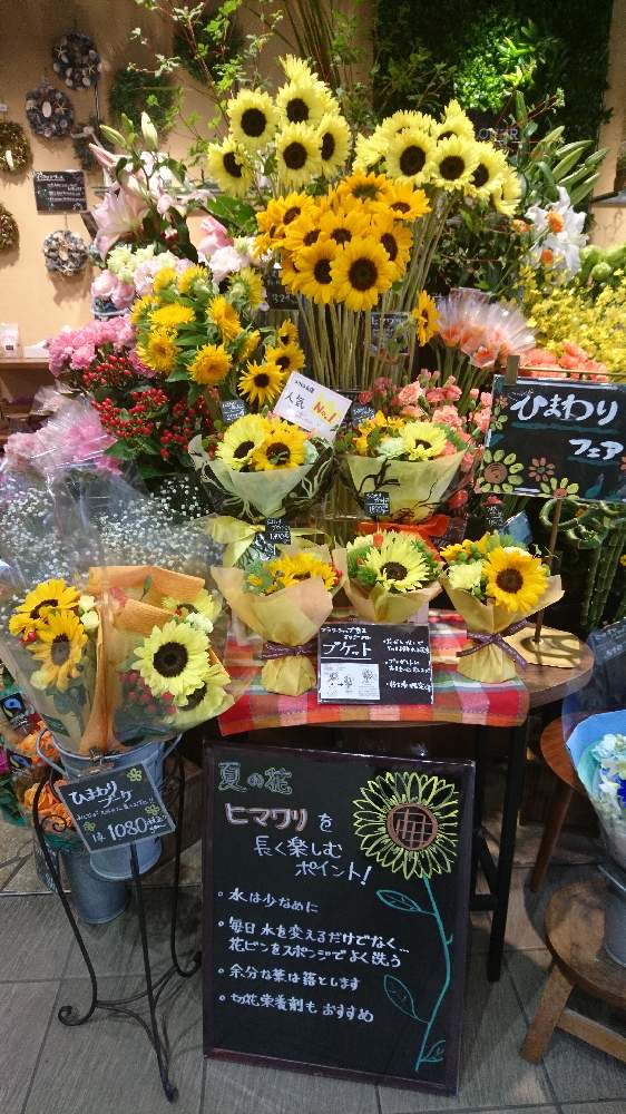 ヒマワリサンリッチパインの投稿画像 By フラワーショップ京王 つつじヶ丘店さん ヒマワリビンセントﾈｰﾌﾞﾙとヒマワリ東北八重とヒマワリ ビンセントタンジェリンとフラワーショップ京王とつつじヶ丘と入荷情報と長持ちする花と夏の花と季節の花と今日の１枚とオススメと暑