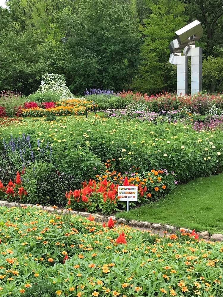 大阪府立花の文化園にて 夏 Greensnap グリーンスナップ