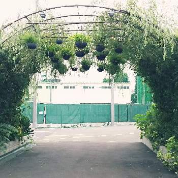 Share Green Minami Aoyamaの投稿画像一覧 Greensnap グリーンスナップ