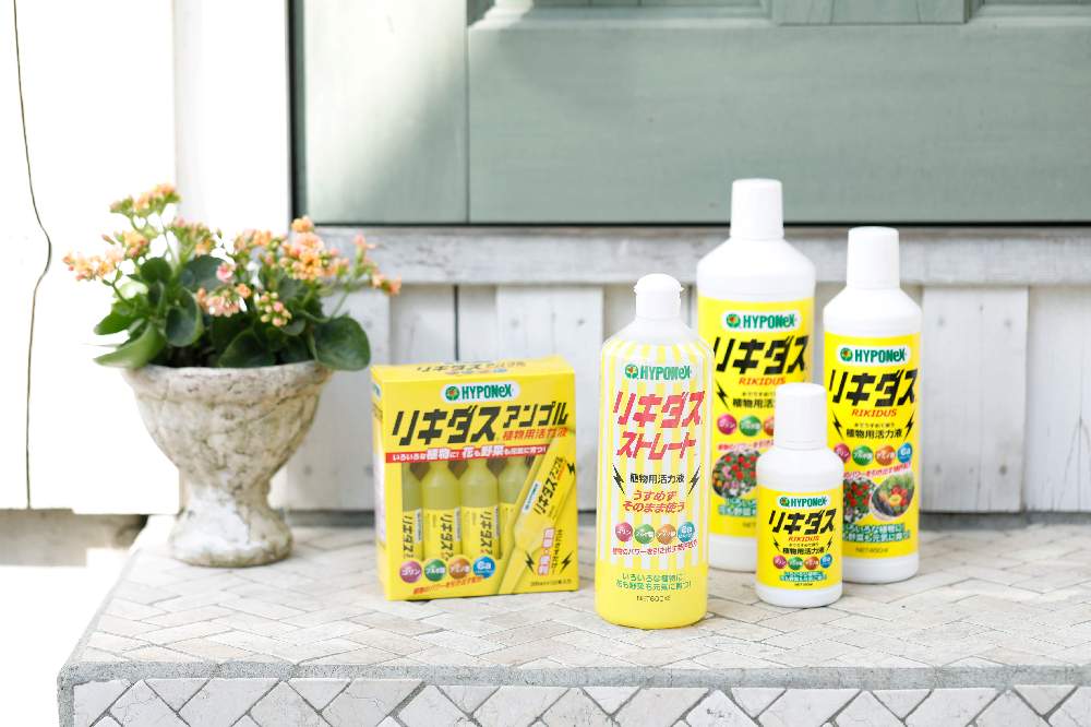 オススメ の投稿画像 By Greensnap公式さん ハイポネックスとリキダスと ハイポネックス園芸部 19月7月22日 Greensnap グリーンスナップ