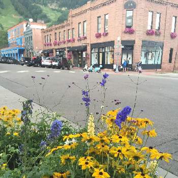 山と花の景色の画像 by noripさん | アメリカ コロラドとおしゃれな街とアメリカンカントリーと山と花の景色とスキーリゾート