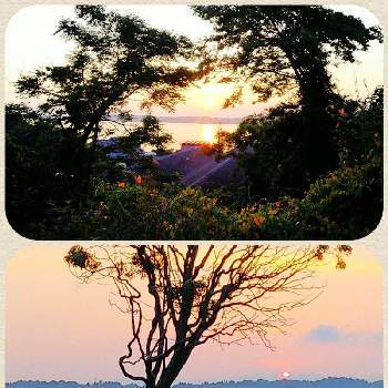 湖の夕焼けの画像 by lucky514さん | お出かけ先と夕焼けと7月と湖の夕焼けとGS映えと夕日とGS日和とマルプーラッキー散歩と花のある暮らしとお散歩