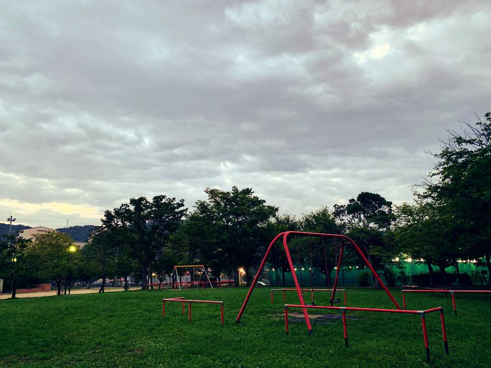 自宅近くにの投稿画像 By サタティさん 高槻市と葉の色合いと黄昏の一時と空のすがたと奈佐原 19月7月25日 Greensnap グリーンスナップ