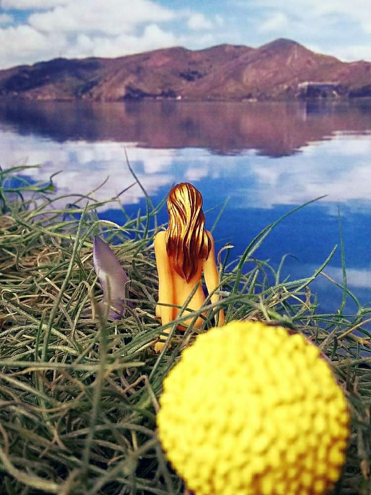 ウスネオイデスの投稿画像 By アコウテさん 人魚と植欲旺盛と植中毒とチランジア属とメリー号の大冒険とメリー号の大冒険 番外編と多肉初心者 19月7月25日 Greensnap グリーンスナップ