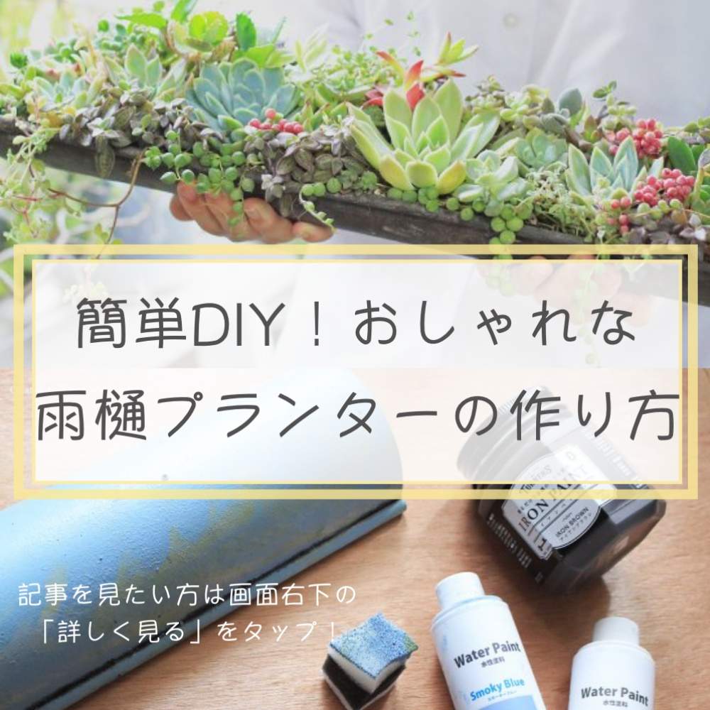 多肉植物の寄植えの投稿画像 By Greensnap公式さん Diyと多肉棚diy 19月7月31日 Greensnap グリーンスナップ