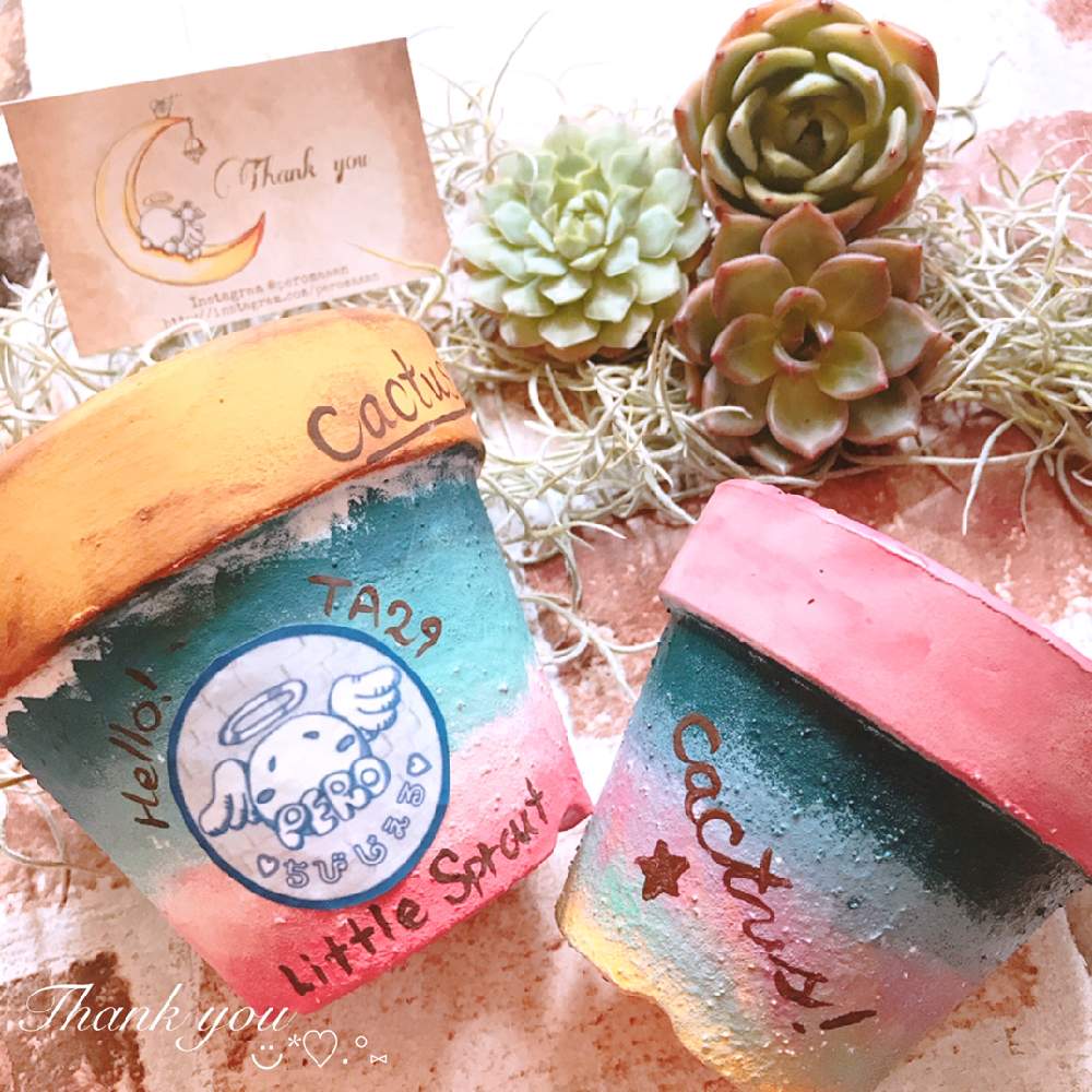 シャーロット の投稿画像 By やぁさん たにおたくらぶno 14 とちいさな幸せ とお気に入り とバラと夢clubと多肉女子と いいね ありがとうとシャルルローズ とエケベリア シャルモンとかわいいな とたにおたくらぶとペロさん鉢 ଘ ੭ ˊᵕˋ ੭ とペロ