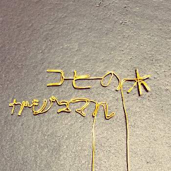 ネームプレートの投稿画像一覧 Greensnap グリーンスナップ