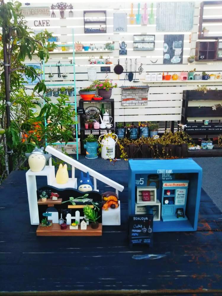 キャベツボックスの投稿画像 By Peccoさん サビサビとmerrybell 追っかけ隊と屋上ガーデンとgs映えとgs日和と植中毒と多肉女子と可愛い と手作り 花壇と多肉ケーキとタニラーと花のある暮らしとジャンクガーデンと葉菜ちゃんリメ鉢 と多肉寄せ植えとdiy飾り棚 19月