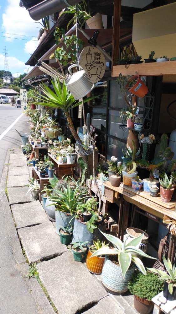 多肉植物屋たなかまる Greensnap グリーンスナップ