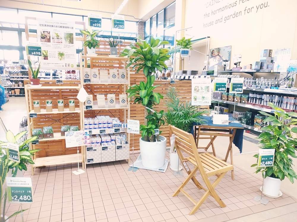 カインズホームの投稿画像 By なちさん 群馬タニラーとcainzとcainz Greensnapとカインズgs売り場 19月8月8日 Greensnap グリーンスナップ