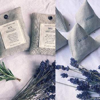 サシェの投稿画像一覧 Greensnap グリーンスナップ