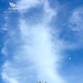 奈良県のお天気の投稿画像一覧 Greensnap グリーンスナップ