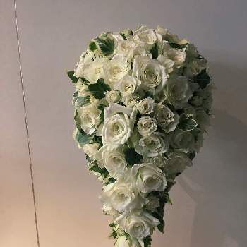 すべての美しい花の画像 トップ100 バラブーケ 折り紙 花 立体 バラ