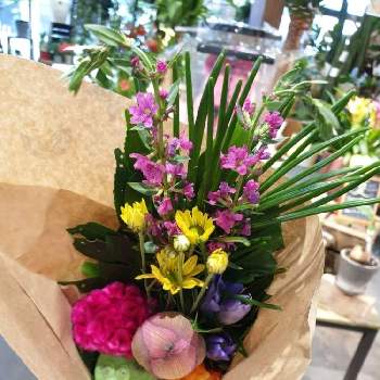 お盆用の花の投稿画像一覧 Greensnap グリーンスナップ