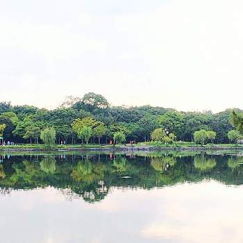 朝の公園の画像 by はちみつ☆さん | お出かけ先とキュンキュン乙女倶楽部と水面と空とと朝の公園と水鏡