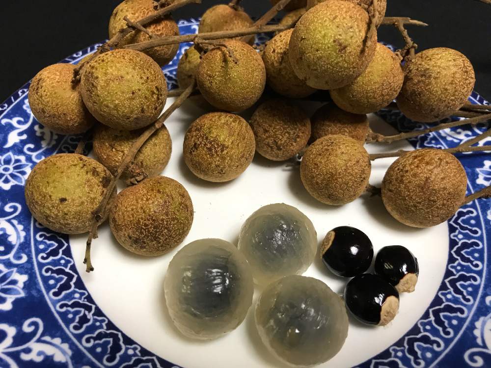 リュウガン 竜眼 Greensnap グリーンスナップ