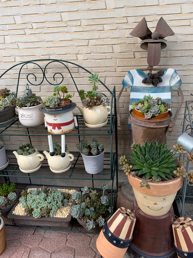 手作りの投稿画像 By ゆかりんさん リメイクと手作り鉢 寄せ植えと玄関でお出迎えと多肉女子と花のある暮らしと植木鉢と多肉植物 多肉の有るくらしと多肉植物のすてきアレンジ 19月8月日 Greensnap グリーンスナップ