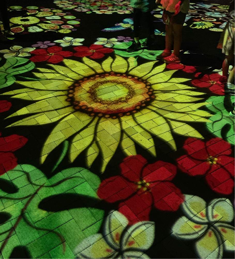 休日の過ごし方の投稿画像 By 80さん 夏まつりと光の切り絵とボタニカルスポット19夏と富士川クラフトパークとbotanical Night 19月8月25日 Greensnap グリーンスナップ