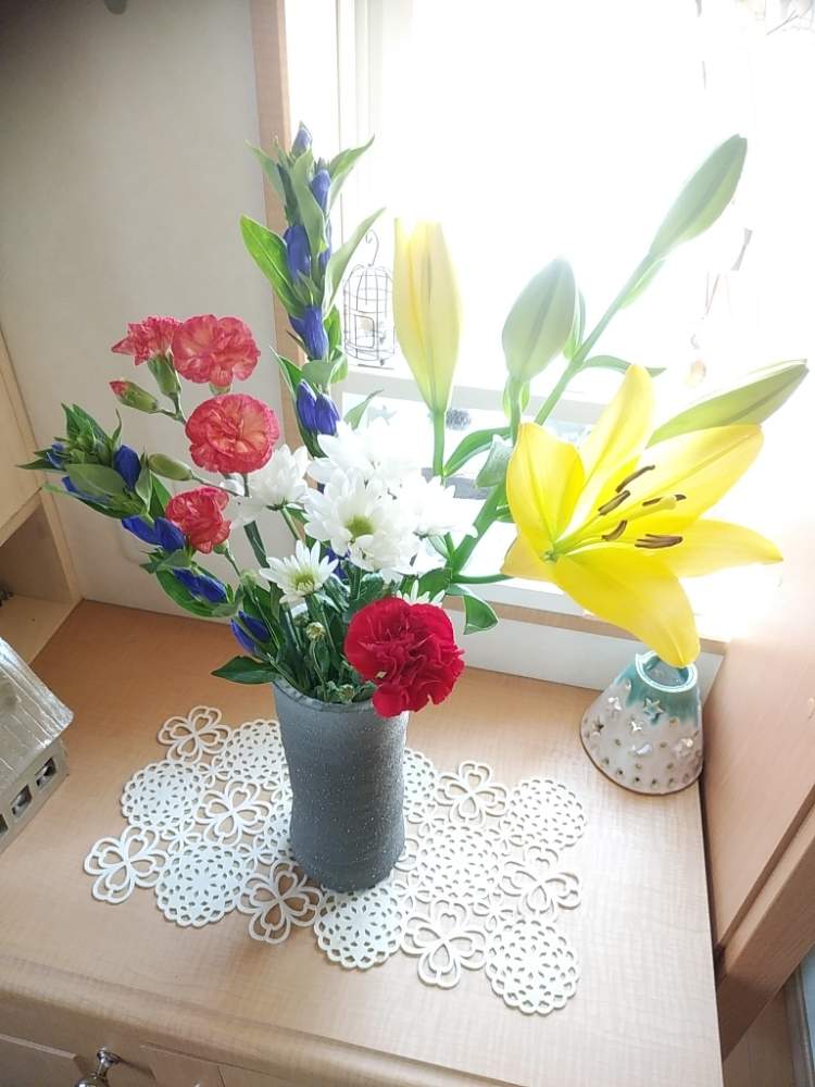カーネーションの投稿画像 By じゅんさん キクとユリとリンドウとなかよしと癒し系と大輪の花と花のある暮らしと切り花とユリの花とアレンジと自作の花器 19月8月25日 Greensnap グリーンスナップ