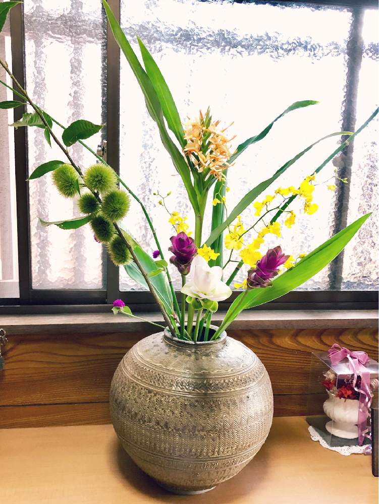 オンシジウムの投稿画像 By とみーさん クルクマと栗の木と花瓶と生花といけばなと花のある暮らしと切り花と生け花 19月8月25日 Greensnap グリーンスナップ