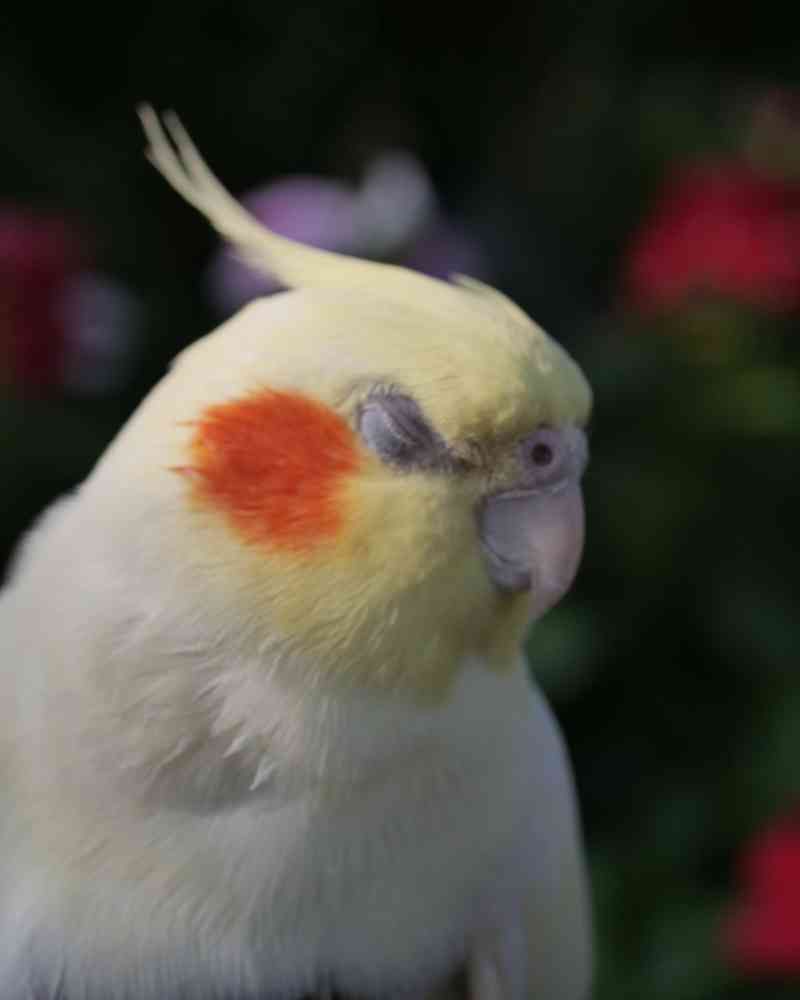 ゆず花さんの山下公園への投稿