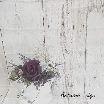 和風アレンジメントの投稿画像一覧 Greensnap グリーンスナップ