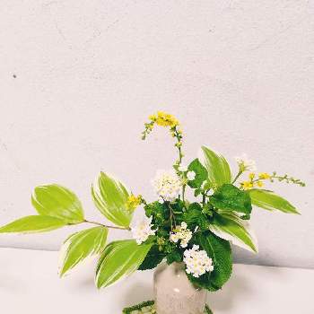 金水引の画像 by ツバキさん | ランタナと金水引と斑入りナルコユリの葉と花のある暮らしと自己流と手作り花瓶と『可憐なミニブーケ』フォトコンテスト