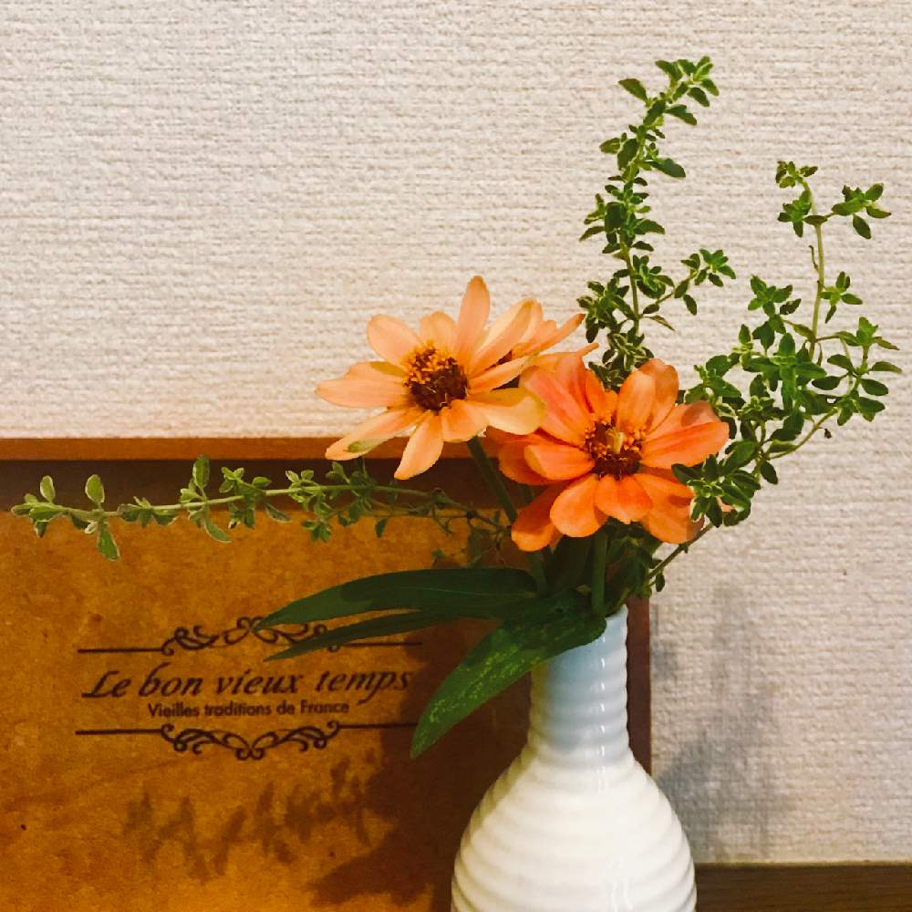 可憐なミニブーケ フォトコンテストの投稿画像 By 苺さん お気に入り と花瓶 フラワーベースコンテストと小さい花瓶とgs映えと植物だいすきと花瓶 と順調とジニア と花のある暮らしとかわいいな とゴールデンレモンタイム 19月9月1日 Greensnap グリーン