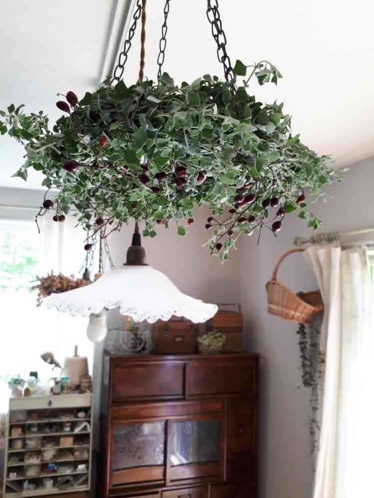 🌿フレッシュフライングリースの作り方🌿｜🍀GreenSnap（グリーン