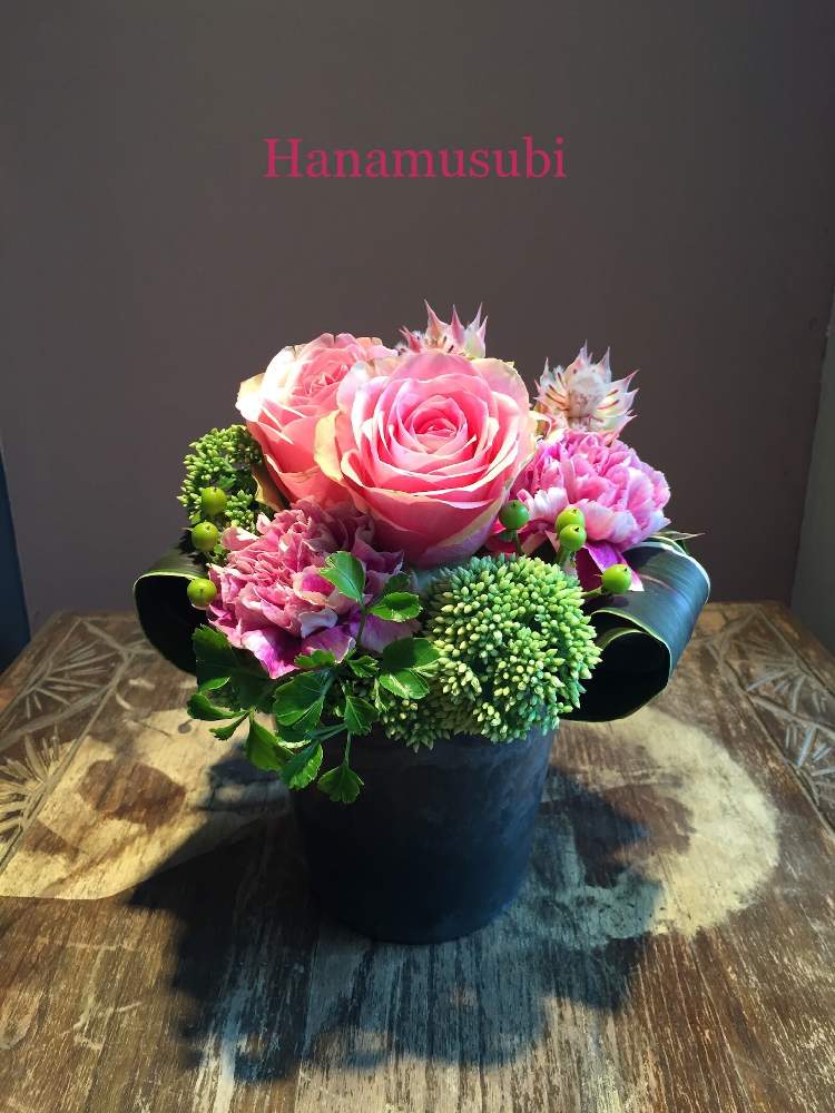 花むすびのアルバム Greensnap グリーンスナップ