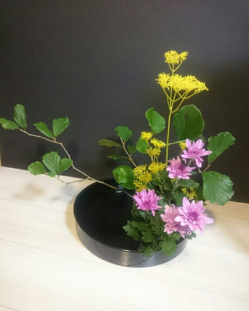 Youは植の投稿画像 By Yk桜さん 植物のある暮らしとボタニカルライフとplantfreakと植物大好きと小原流と植中毒といけばなと花のある暮らしと女郎花 と万作と二輪菊 と緑と暮らす 19月9月5日 Greensnap グリーンスナップ