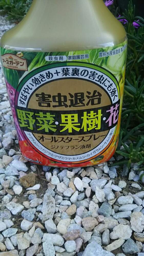 市場 住友化学園芸 防除 害虫 対策 殺虫 100ml 殺虫剤 家庭用 園芸用 GFスミチオン乳剤