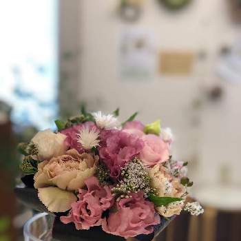 トルコギギョウの投稿画像一覧 Greensnap グリーンスナップ