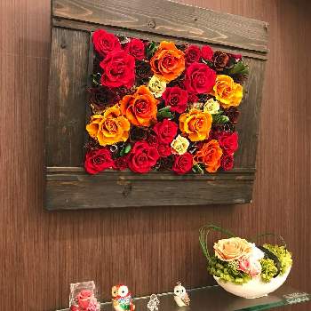 薔薇に夢中の投稿画像一覧 Greensnap グリーンスナップ