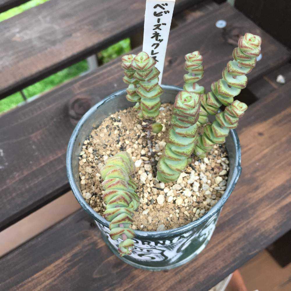 1568427394986_thum_738096_phot