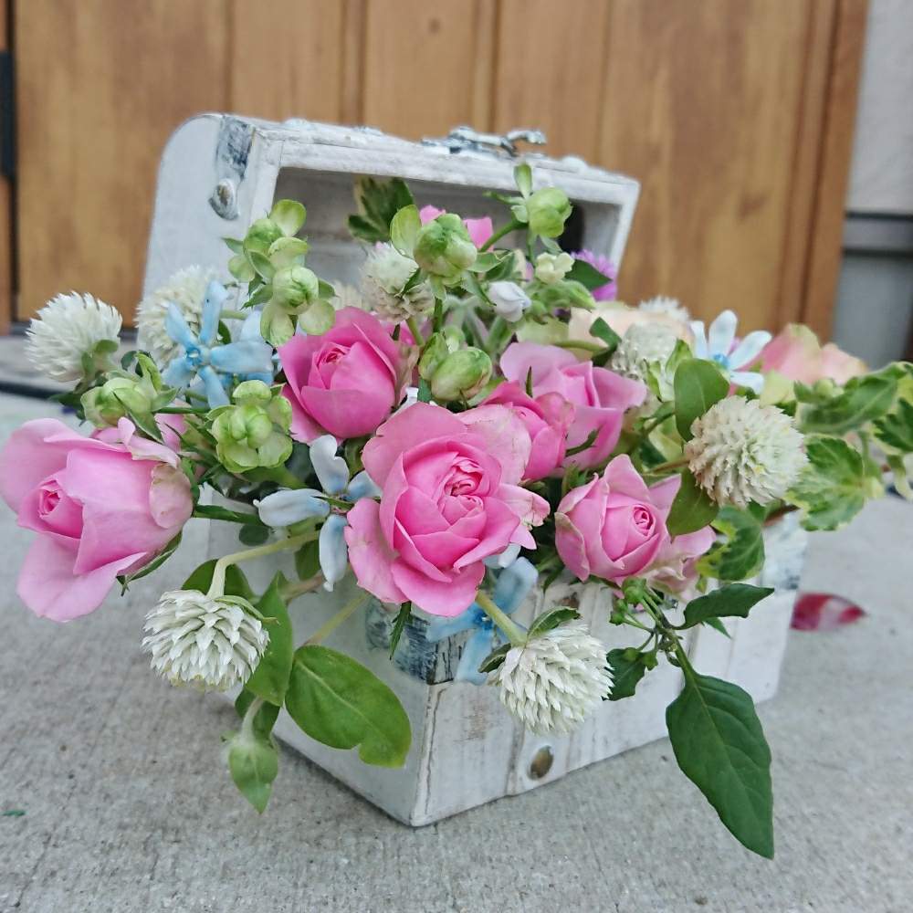 ばら バラ 薔薇の投稿画像 By Satonoさん フラワーアレンジメントと花のある暮らしとお花とお花好きとフラワーデザイン 19月9月16日 Greensnap グリーンスナップ