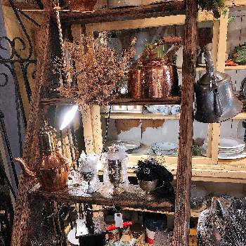 店なし雑貨屋の店の投稿画像一覧 Greensnap グリーンスナップ