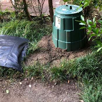 コンポスター 肥料作りの投稿画像一覧 Greensnap グリーンスナップ