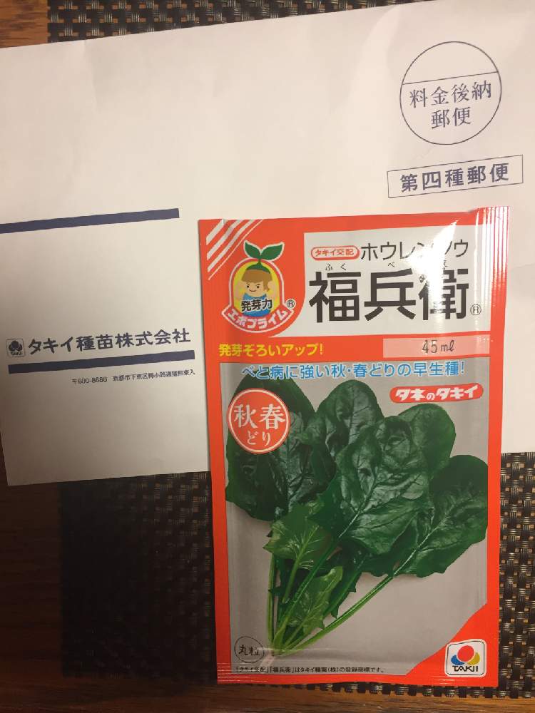 高品質】 福兵衛ホウレンソウ タキイ種苗のほうれん草品種です www.mwlecc.gov.jm