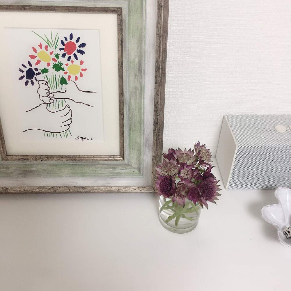 アストランティアの投稿画像 By S Y さん 花束を持つ手とインテリアと花のある暮らしと植物に癒されてと花のある空間とお花のある部屋と花 のある暮らしと植物に癒されてと花のある空間とお花のある部屋 19月9月30日 Greensnap グリーンスナップ Greensnap アストランティアの投稿画像 By S Y さん 花束を持つ手とインテリアと花のある暮らしと植物に癒されてと花のある空間とお花のある部屋と花 のある暮らしと植物に癒されてと花のある空間とお花のある部屋 19月9月30日 Greensnap グリーンスナップ Greensnap