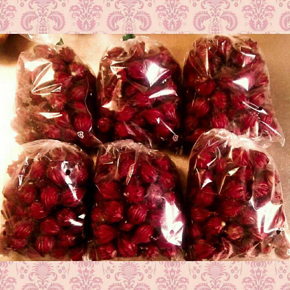 ハイビスカス・ローゼルjam 2019｜🍀GreenSnap（グリーンスナップ）