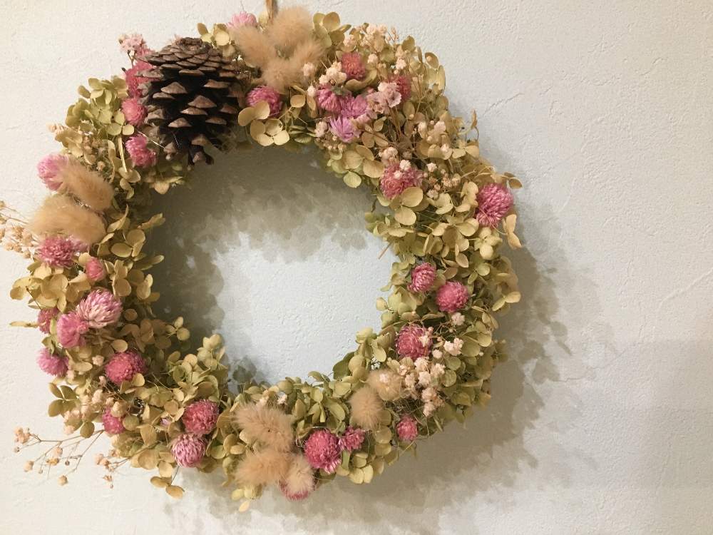 千日紅の投稿画像 By まきさん 松ぼっくりとアナベルとドライフラワーとリースと花のある暮らし 19月10月3日 Greensnap グリーンスナップ