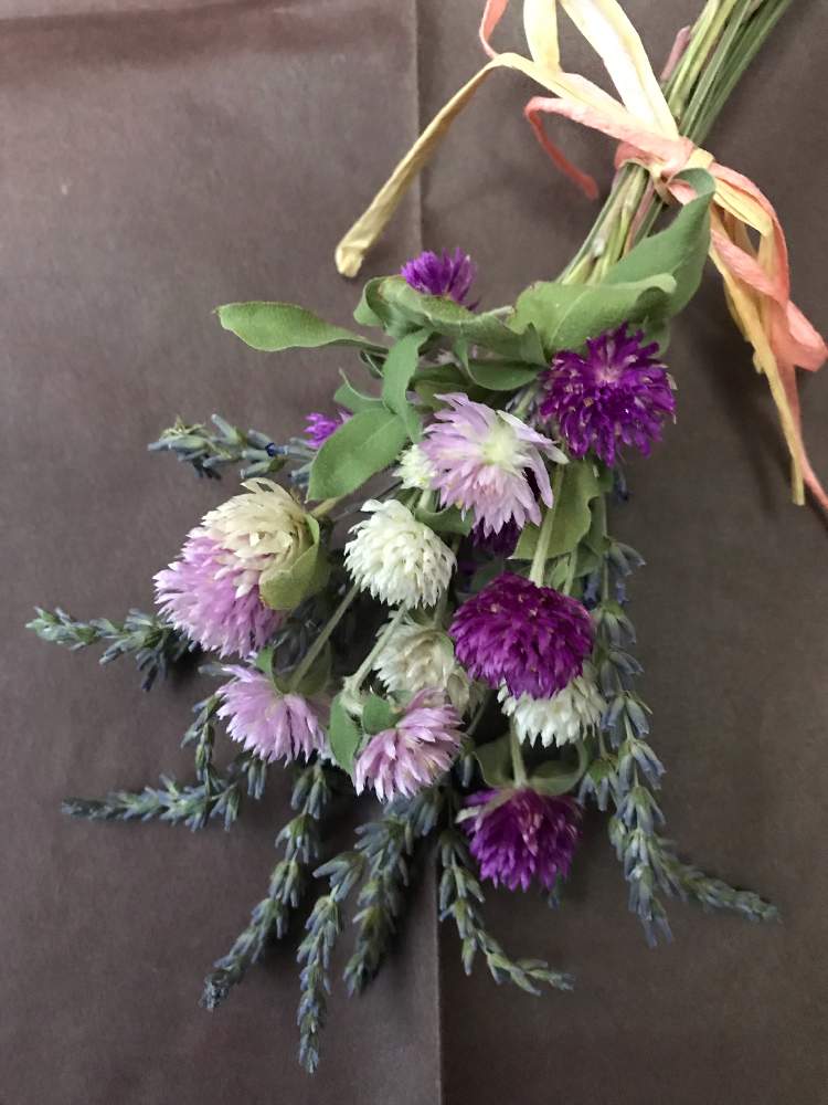 花を使った雑貨の投稿画像 By ヒロコｎi Nさん 手作り雑貨と庭の花たちと緑のある暮らしと今日のお花とハーブのある暮らしと花のある暮らし 19月10月5日 Greensnap グリーンスナップ