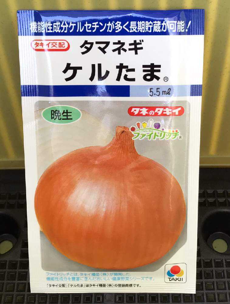 ベランダでタキイの玉ねぎ ケルたまを育てる❣️｜????GreenSnap（グリーンスナップ）