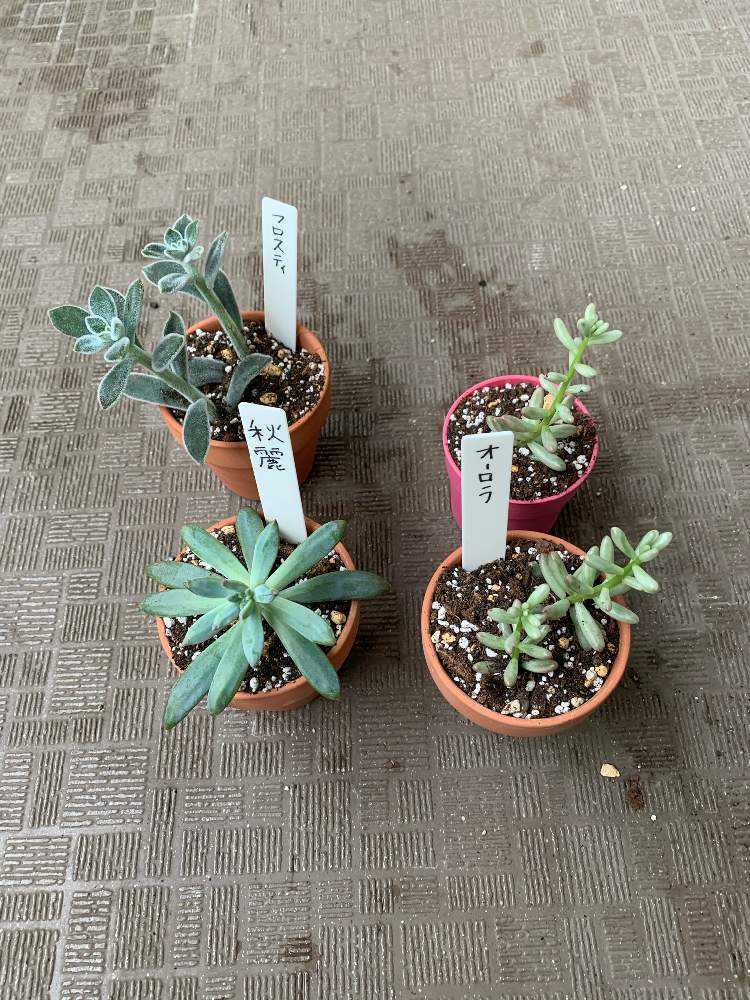 1570369588463_thum_417857_phot