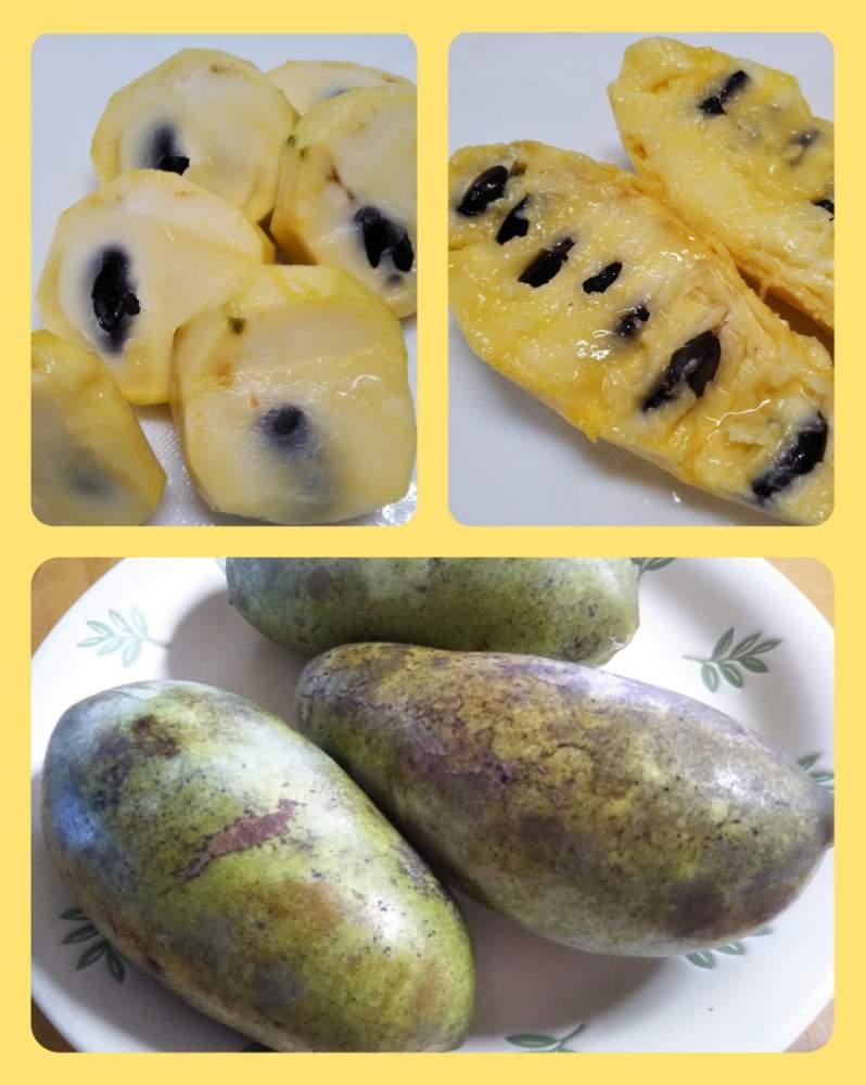 ポポーの実の投稿画像 By すずさん 花のある暮らしとスマホで撮影と幻の果実とポポーの果実 19月10月10日 Greensnap グリーンスナップ